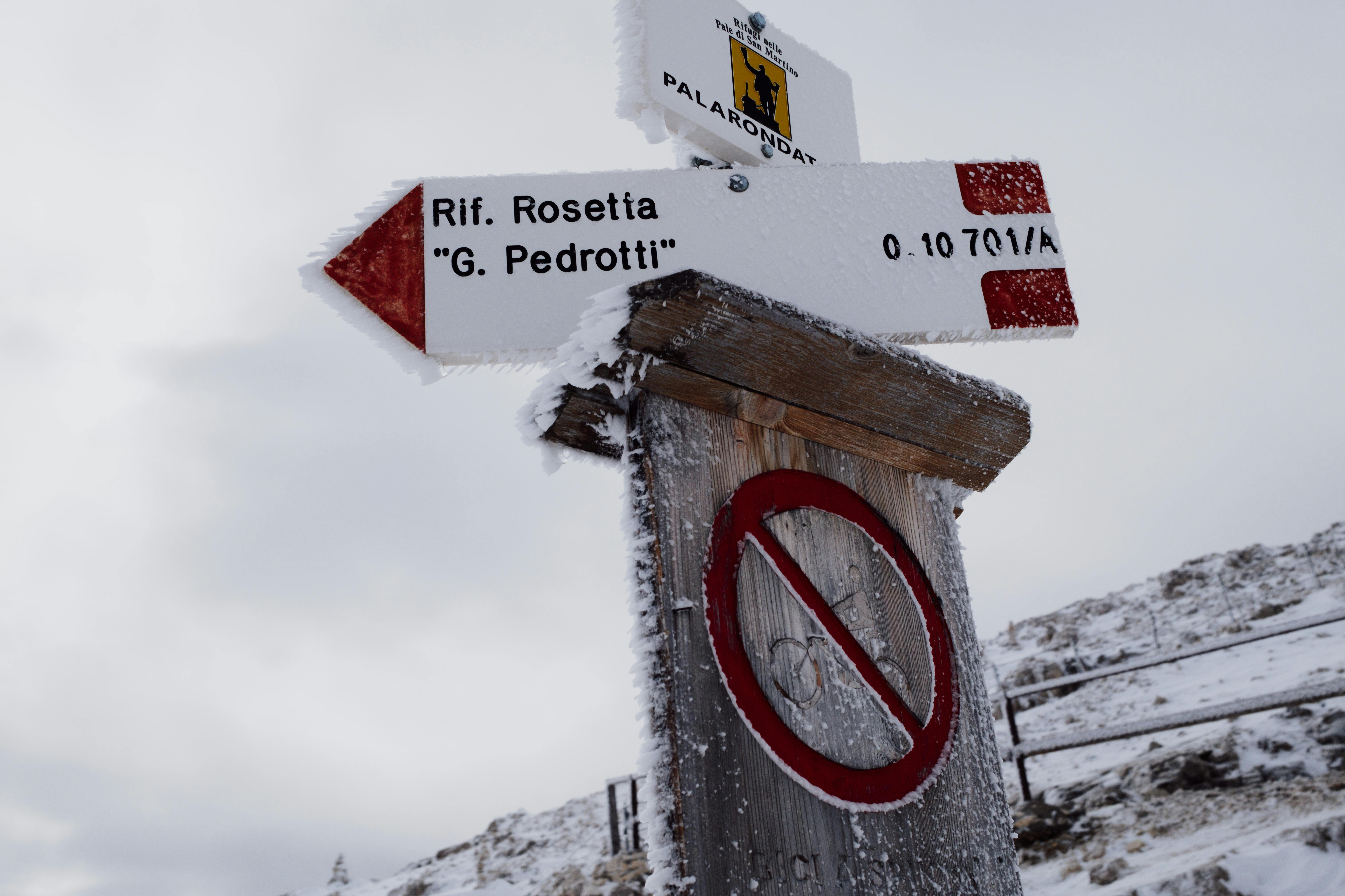 Enchanting Beauty: Discover the Captivating Wonders of Nature