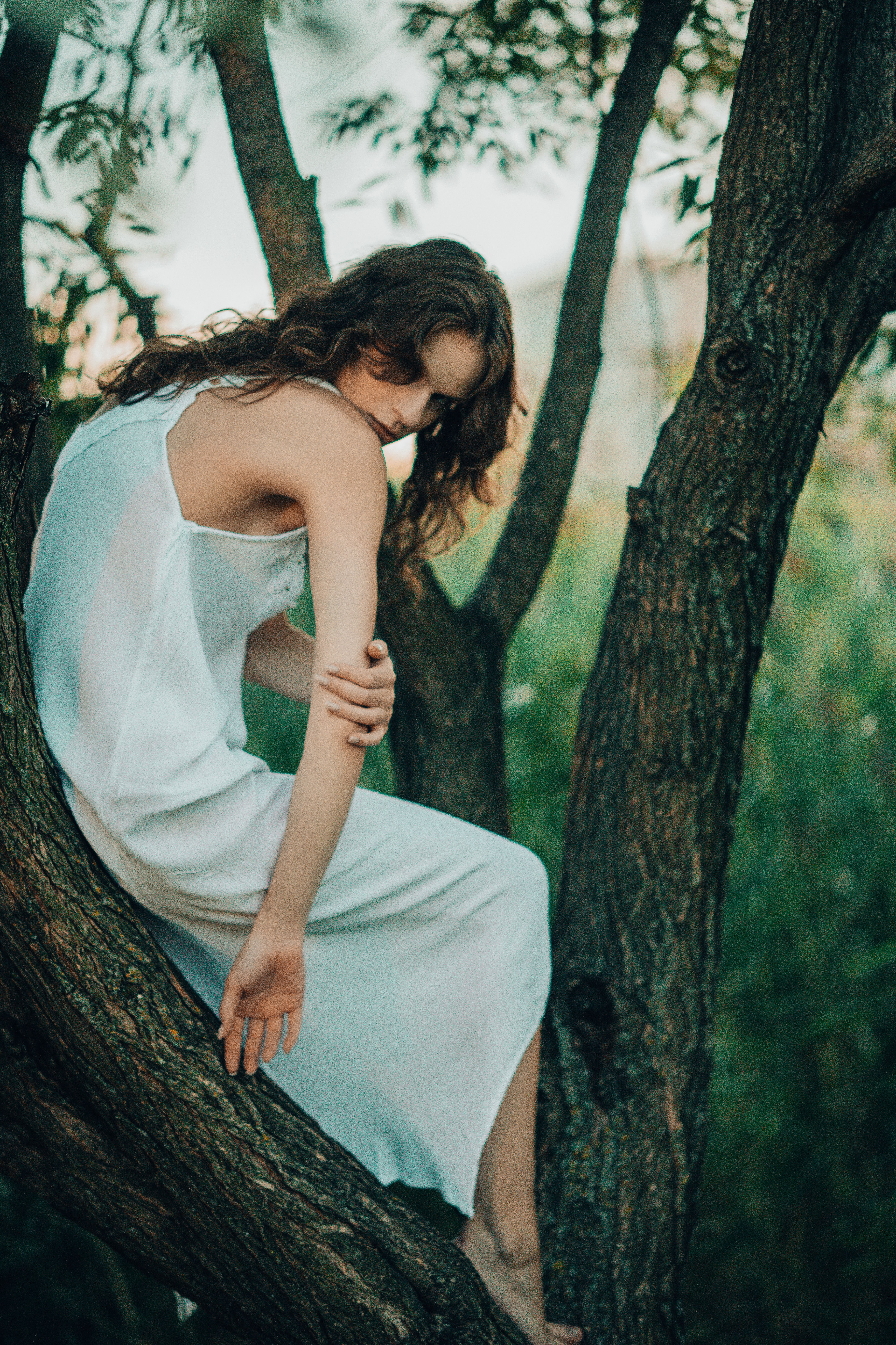 Peaceful Woman in White Dress Among Forest Trees · Free Stock Photo