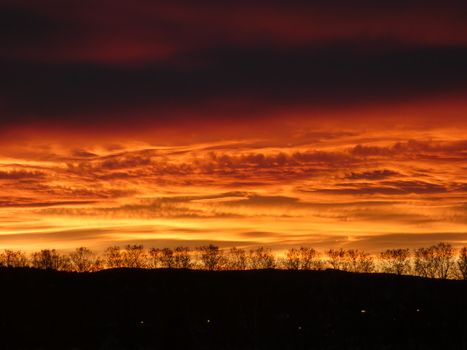 A breathtaking sunset casting golden hues over silhouetted trees and clouds.