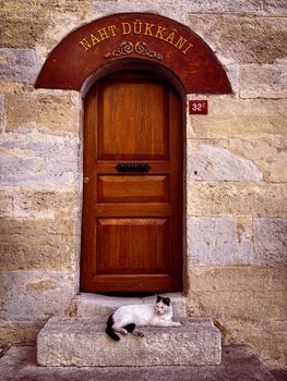 Rustic wooden door with a cat seated in front, marked by 'Naht Dükkanı'.