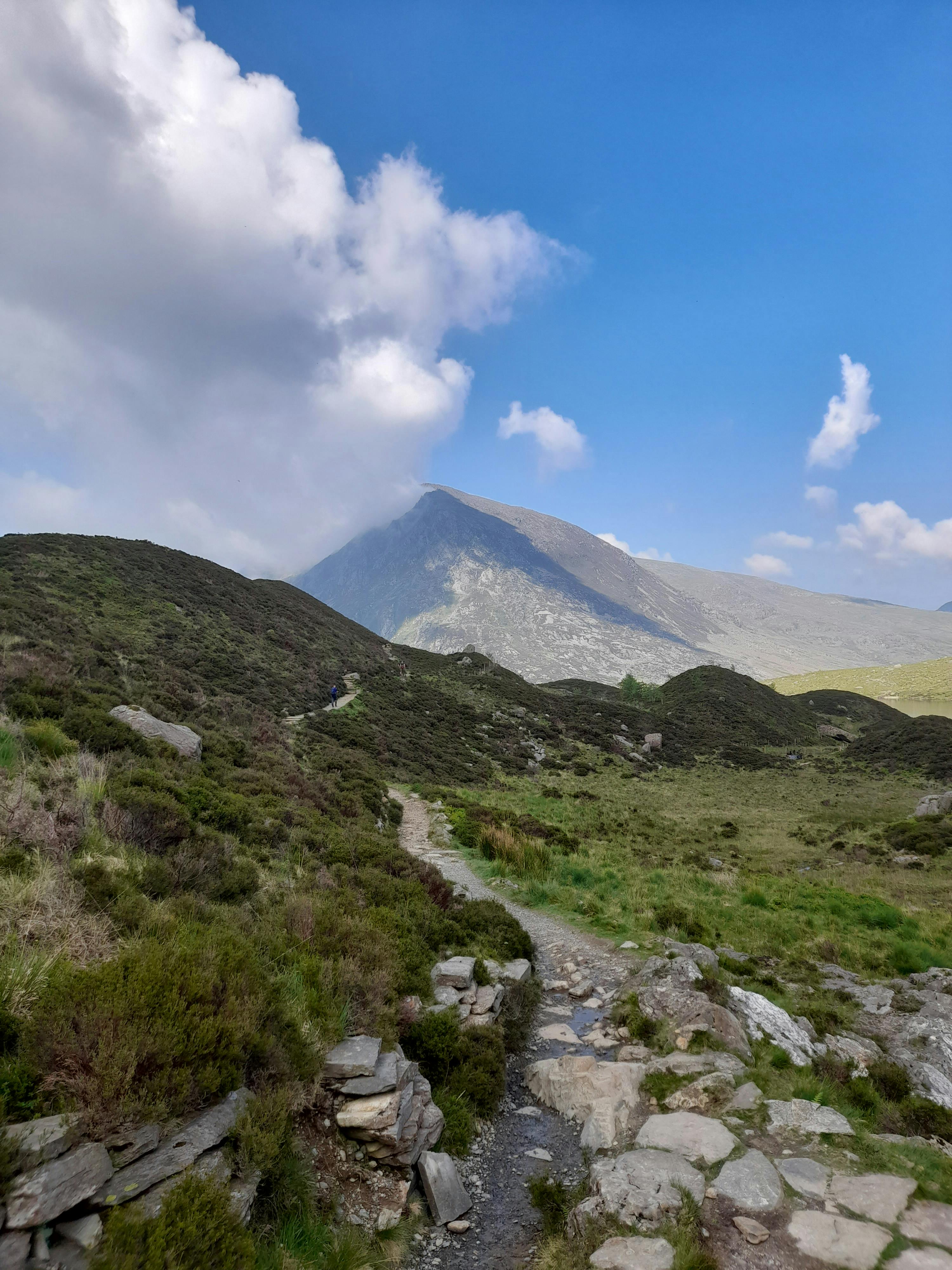 ฟรี ทวิล ดู คลังภาพถ่าย