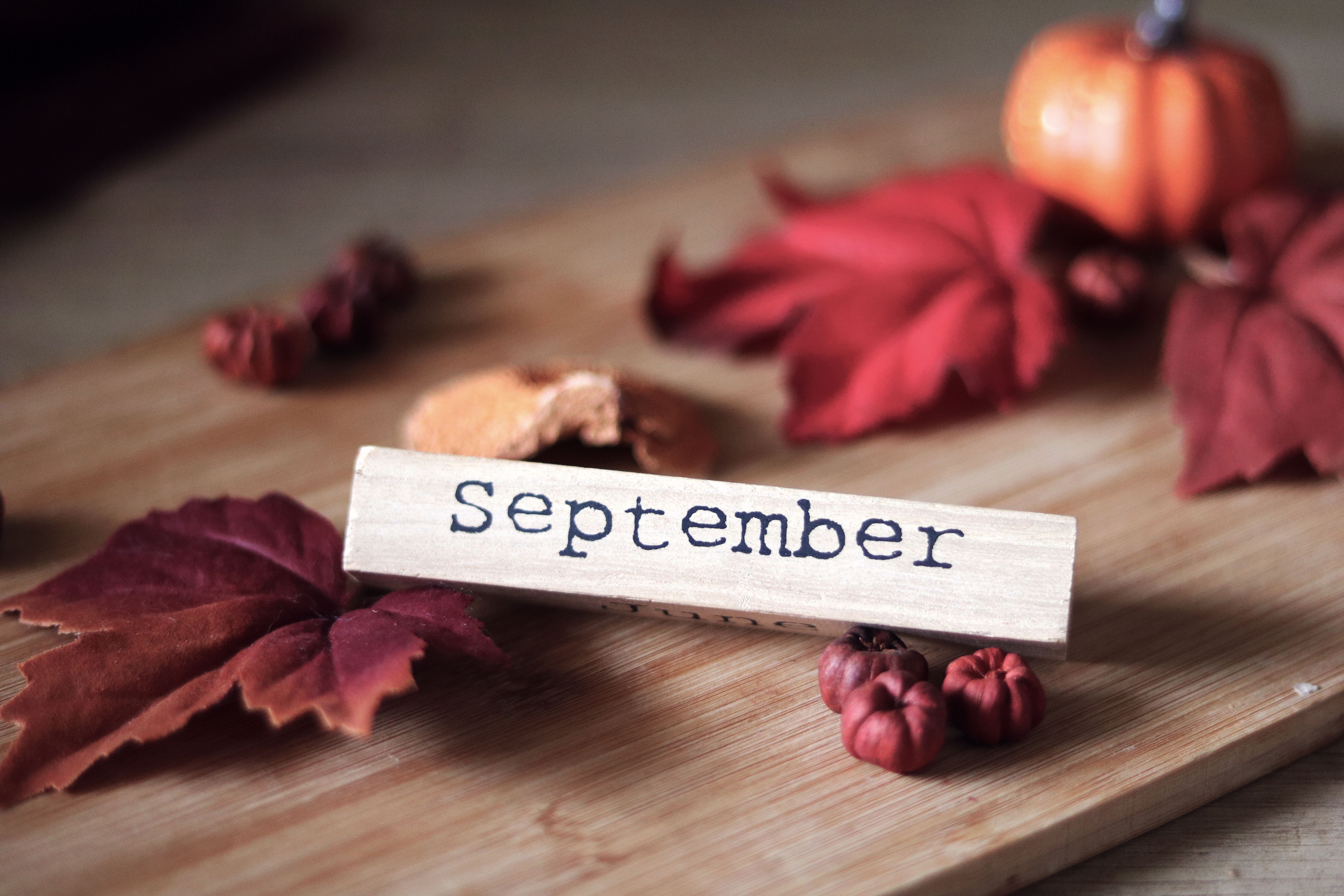 pumpkins-and-hello-november-text-on-dice-free-stock-photo