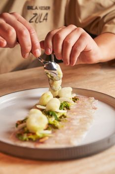 Close-up of chef's hands skillfully arranging a gourmet dish with fresh ingredients.