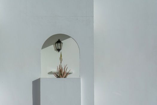 Minimalist white wall featuring an arch with a wall lamp and potted plant.