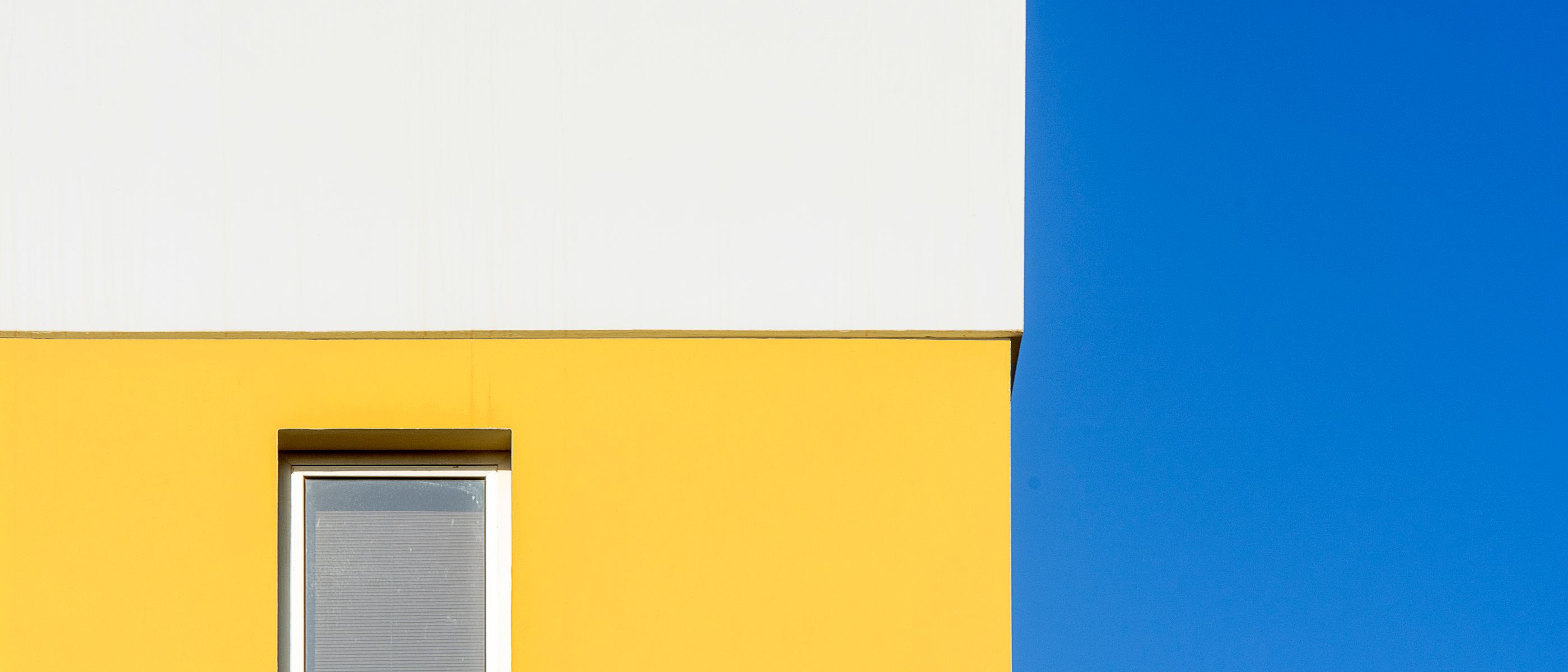 Interior Painting in South Hackney — walls rolled to an even, flat finish