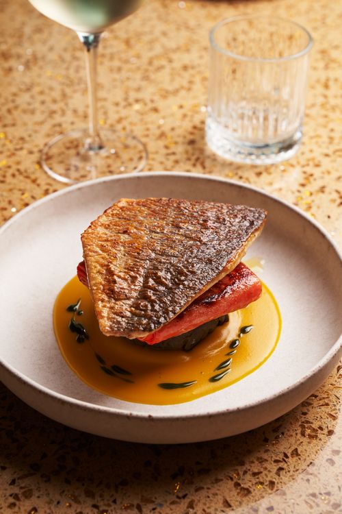 Free Delicious seared fish on a plate with a rich sauce, paired with wine. Stock Photo