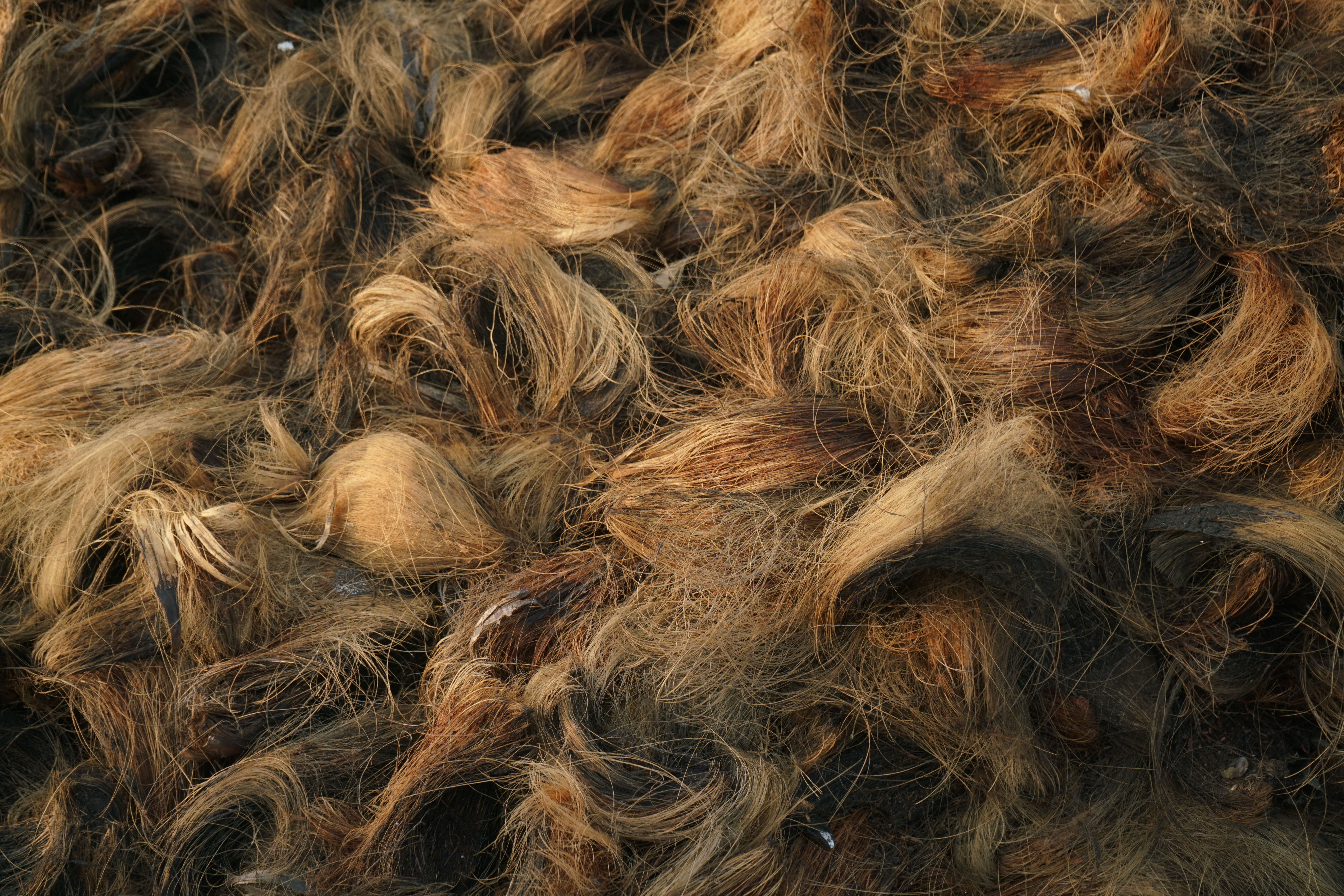 Coir Products