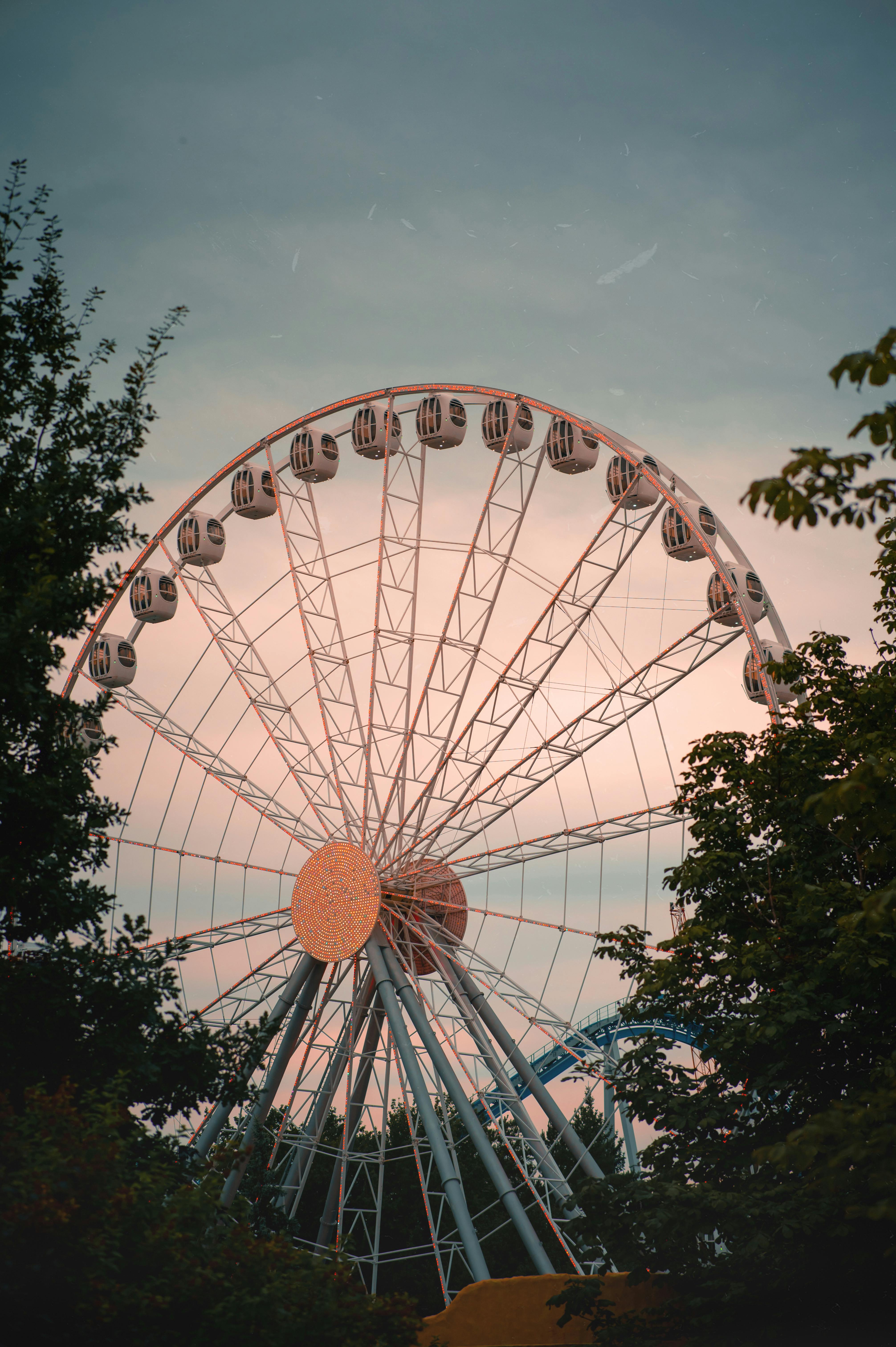 scenic ferris wheel at sunset surrounded by trees