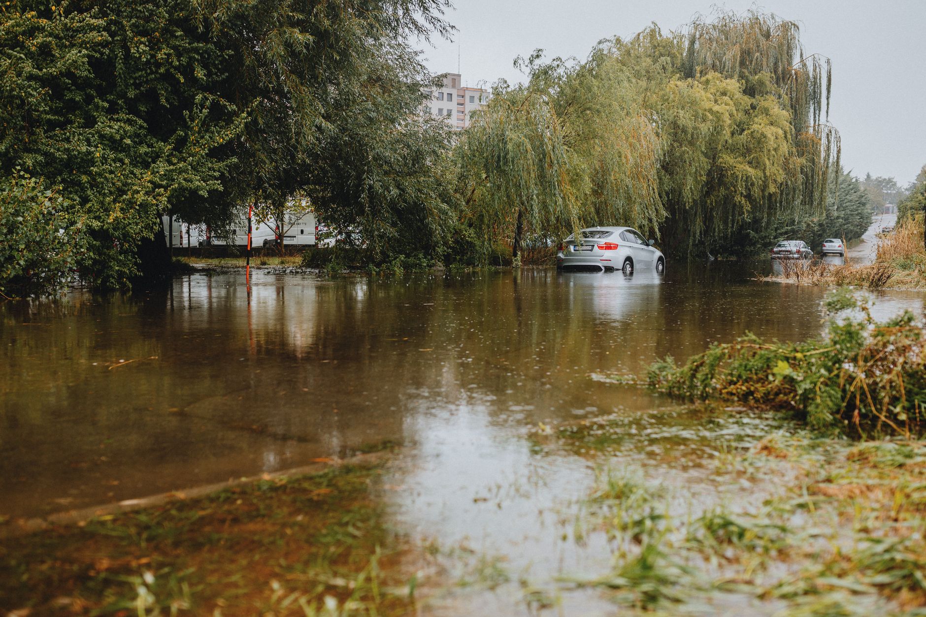 A car driving through a flooded street surrounded by lush trees and urban buildings.