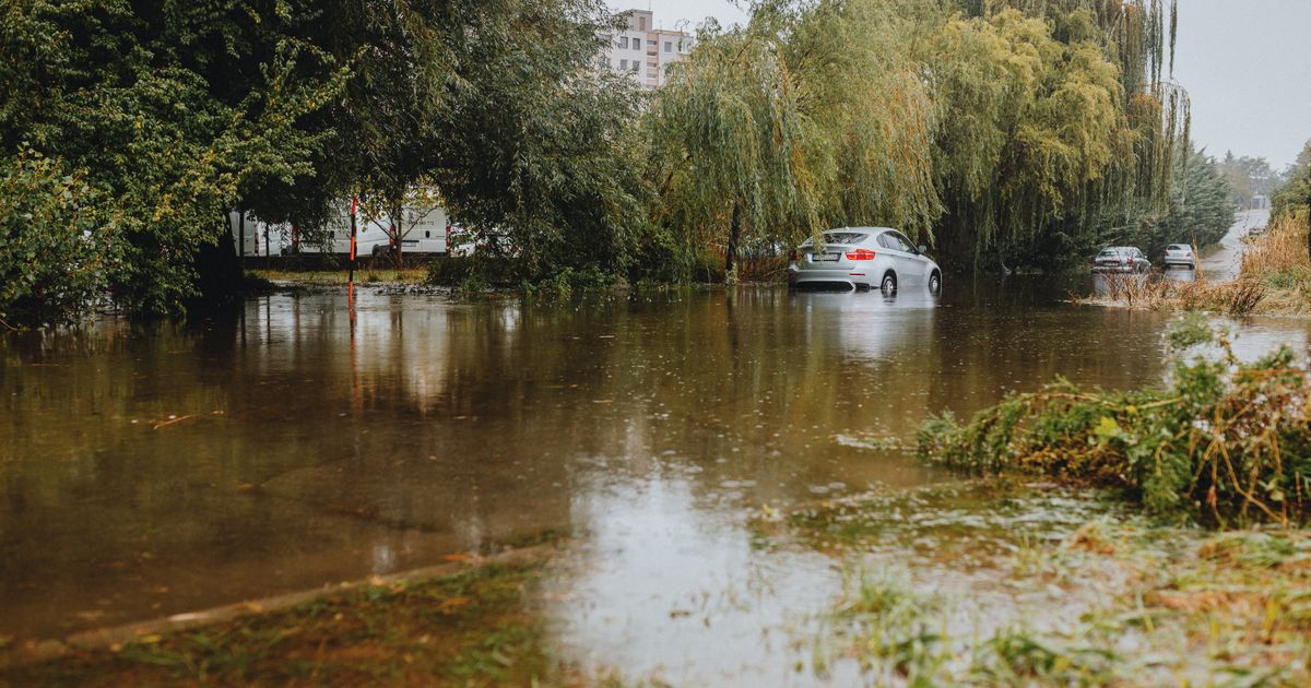 大雨のあと、木々に囲まれた道路が冠水し、車が水の中を進んでいる