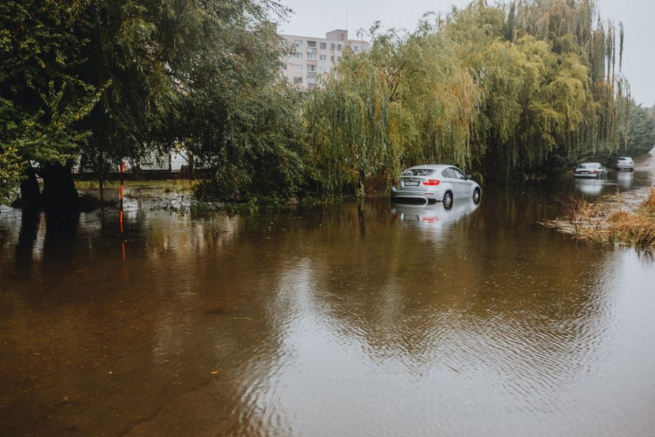 Photo by Helena Jankovičová Kováčová Cars stranded on a flooded street surrounded by tall trees. Rainy season aftermath.