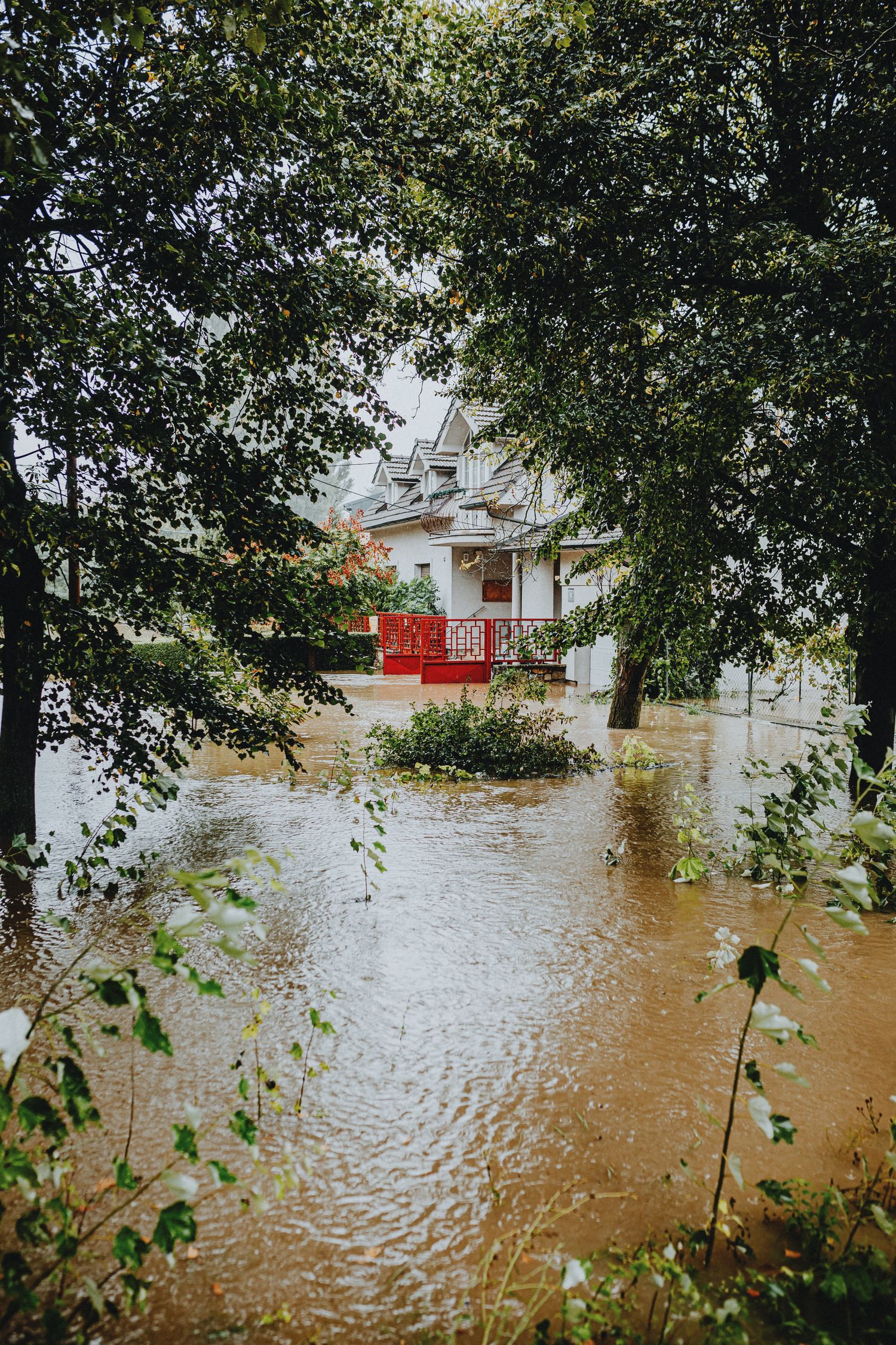 Property restoration and damage response