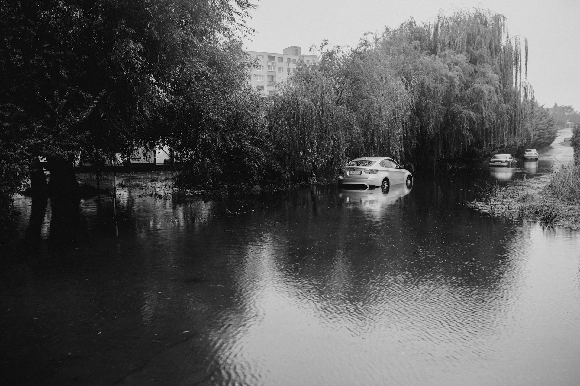 Black and white photo of cars on a flooded street under tree cover in an urban area.