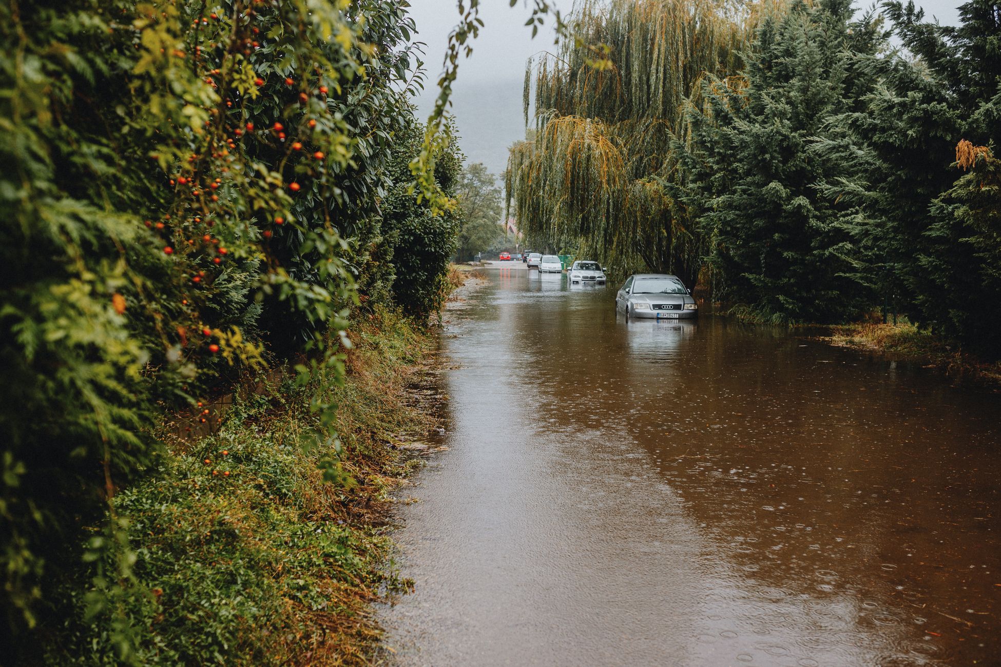Hittegolf en zware regenbuien in Nederland
