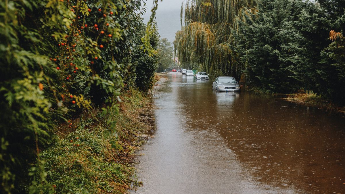 茶色い水で冠水した道路の奥に車が止まっている