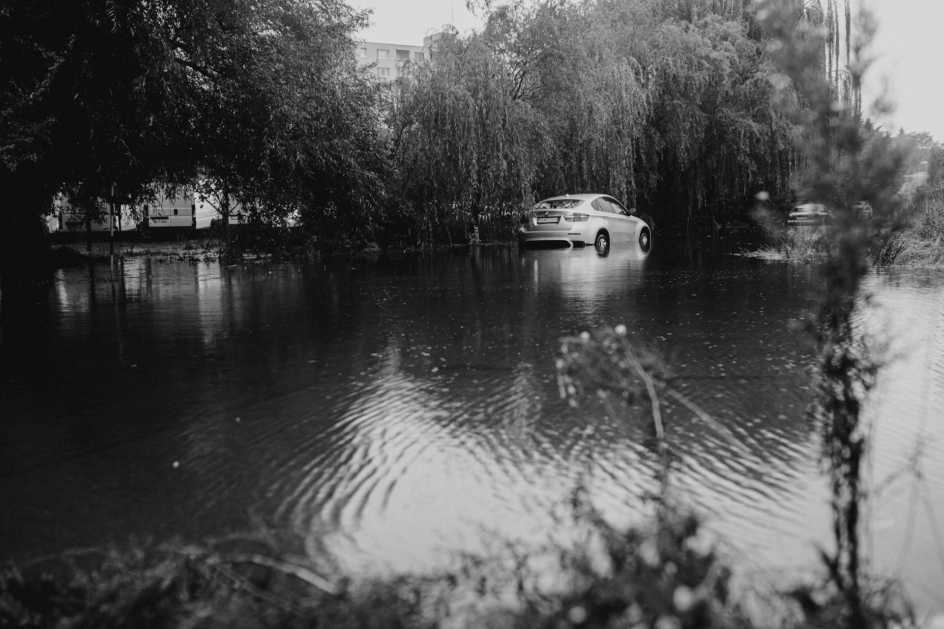 A car partially submerged in floodwaters surrounded by trees, showcasing a natural disaster scene.