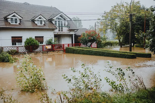 Roof Leak Water Damage Repair