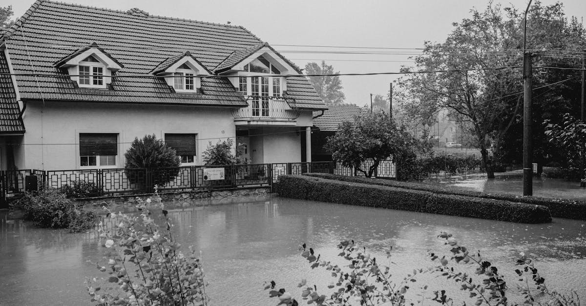 Photo by Helena Jankovičová Kováčová Black and white image of a flooded home surrounded by rising water.