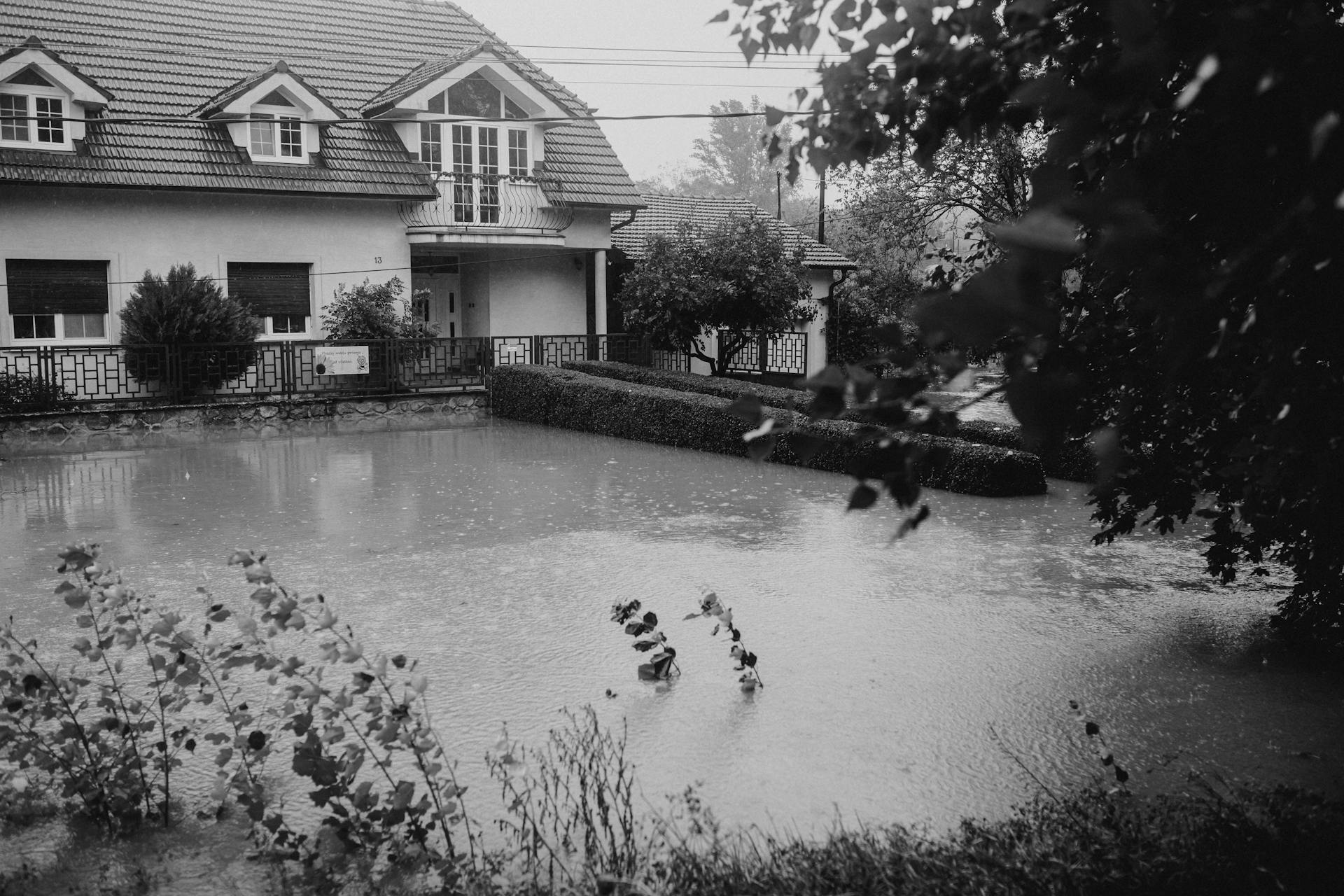 Flooded Suburban House in Black and White