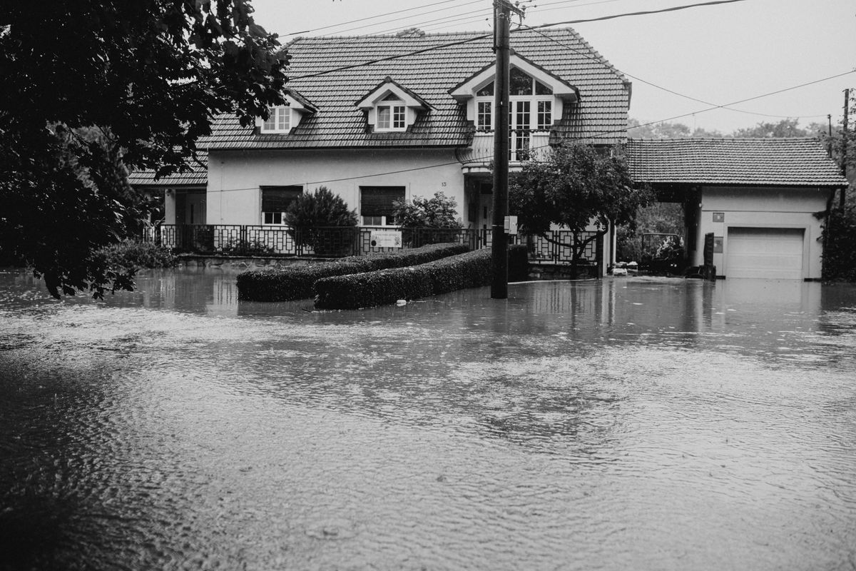 Dégât des eaux en location : procédure et convention IRSI - Déclaration du sinistre et démarches administratives