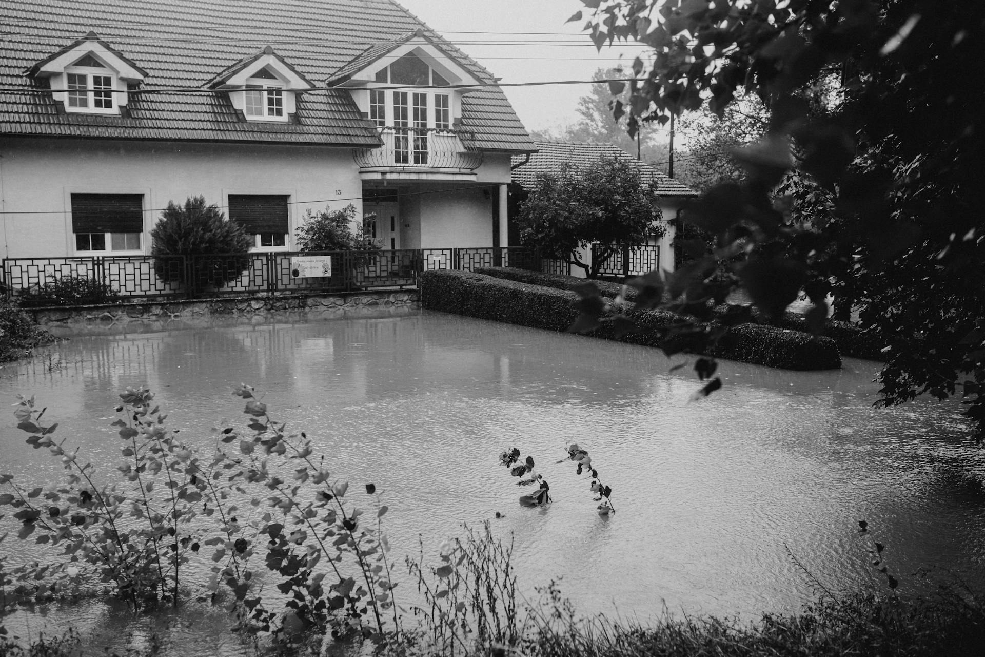 Flooded suburban house landscape in black and white