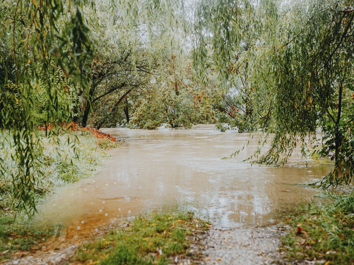 A flooded path after heavy rainfall.