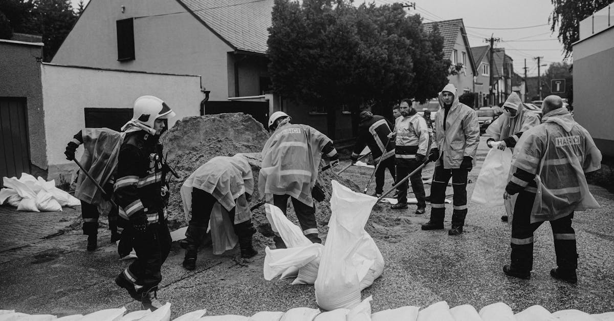 生活:東京臨海防災公園啟示 臺東縣提升防災意識與應變力