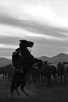 Silhouette of a rearing horse with rider against a stunning sunset landscape.