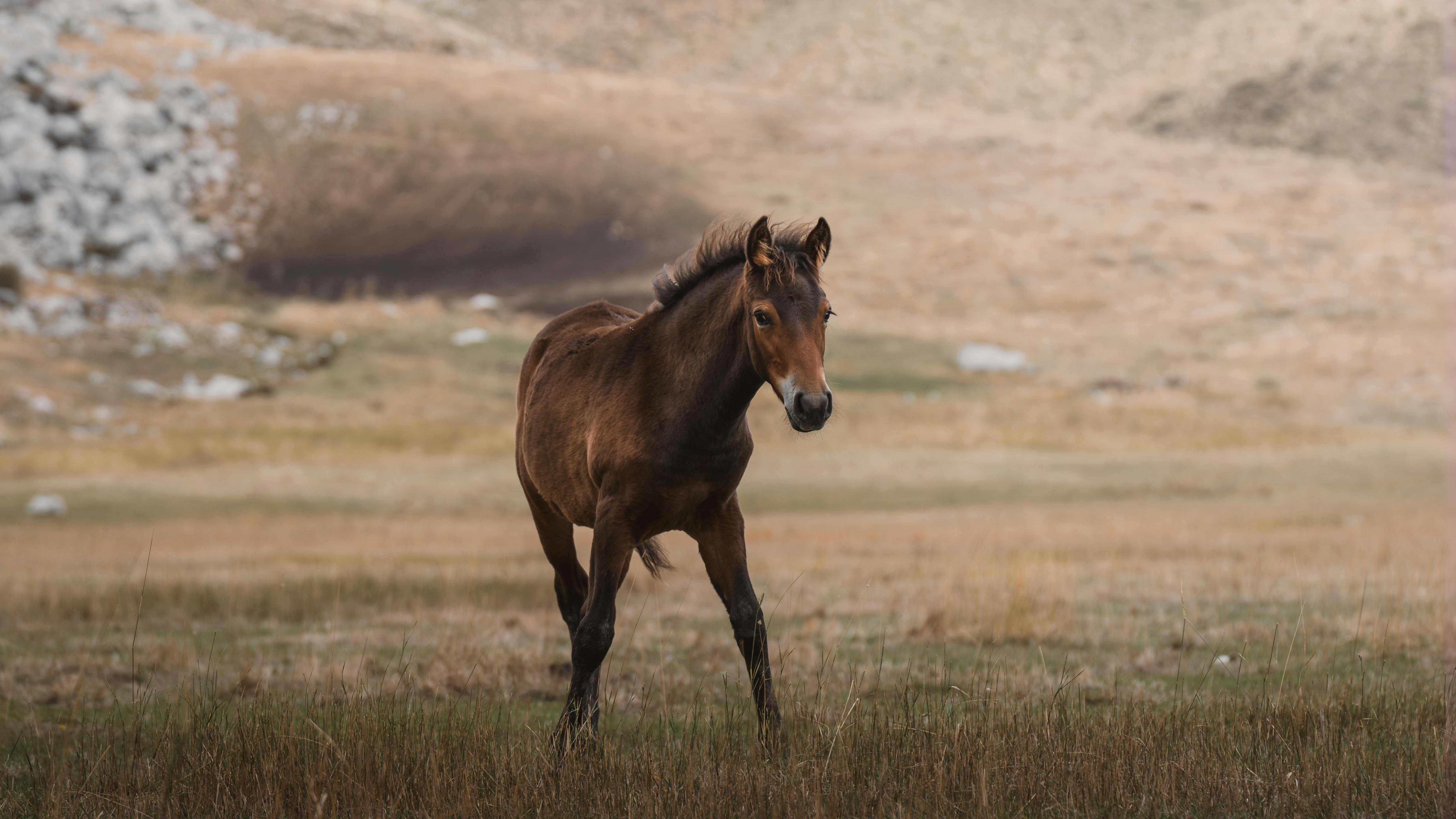 Bakırköy'de Yaşam: Hangi Semt Aileler ve Genç Profesyoneller İçin Daha Uygun?