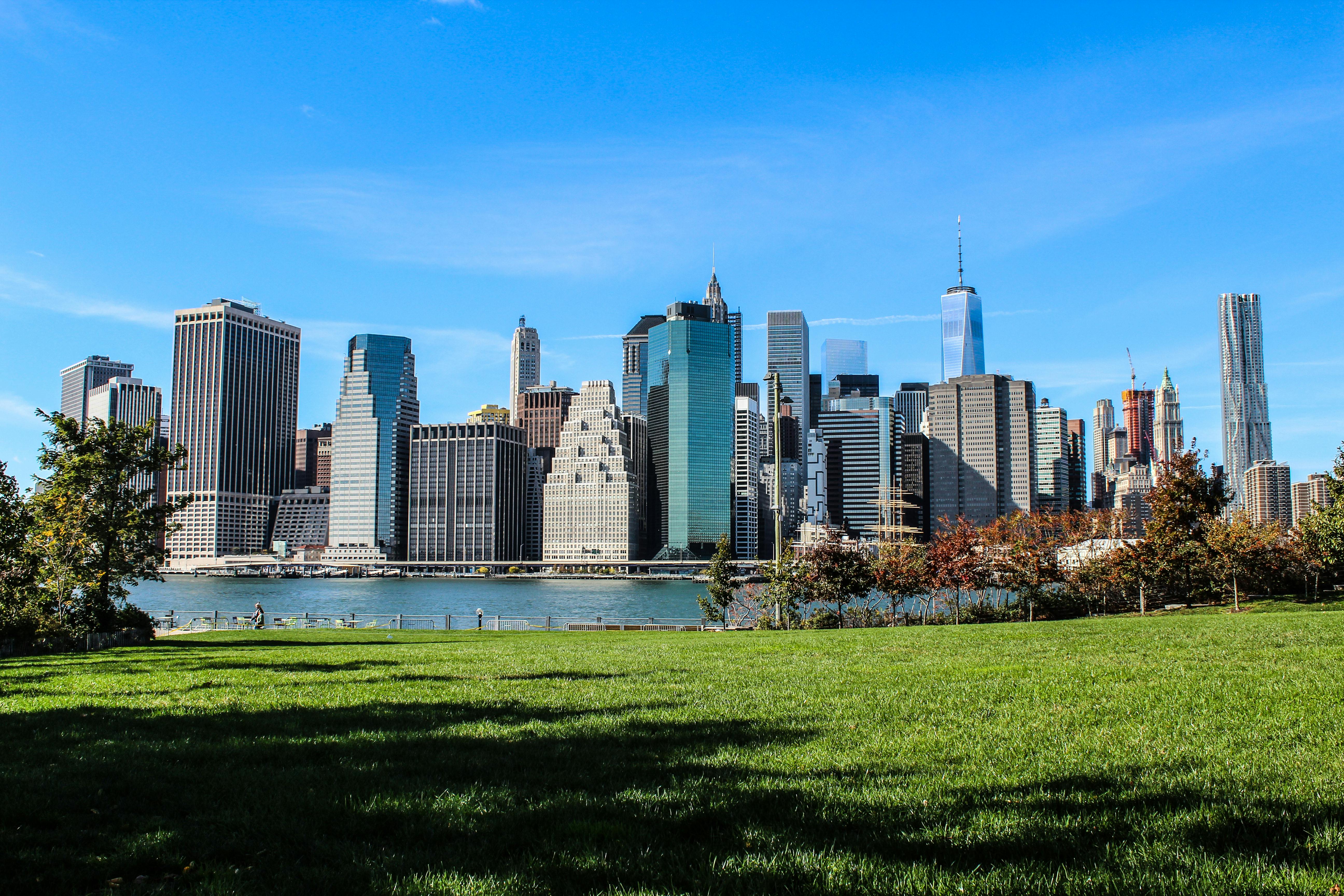 Brooklyn skyline with park - cannabis dispensaries in brooklyn ny