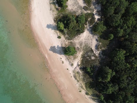 Drone shot showcasing a sandy beach and surrounding forest in Bliss, Michigan.