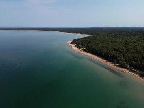 Aerial view of pristine sandy beach surrounded by lush green forest in Bliss, Michigan.
