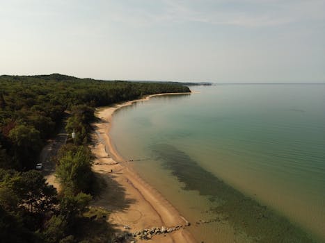 Aerial view of a serene beach and lush forest in Bliss, Michigan, showcasing the tranquil lake shore.
