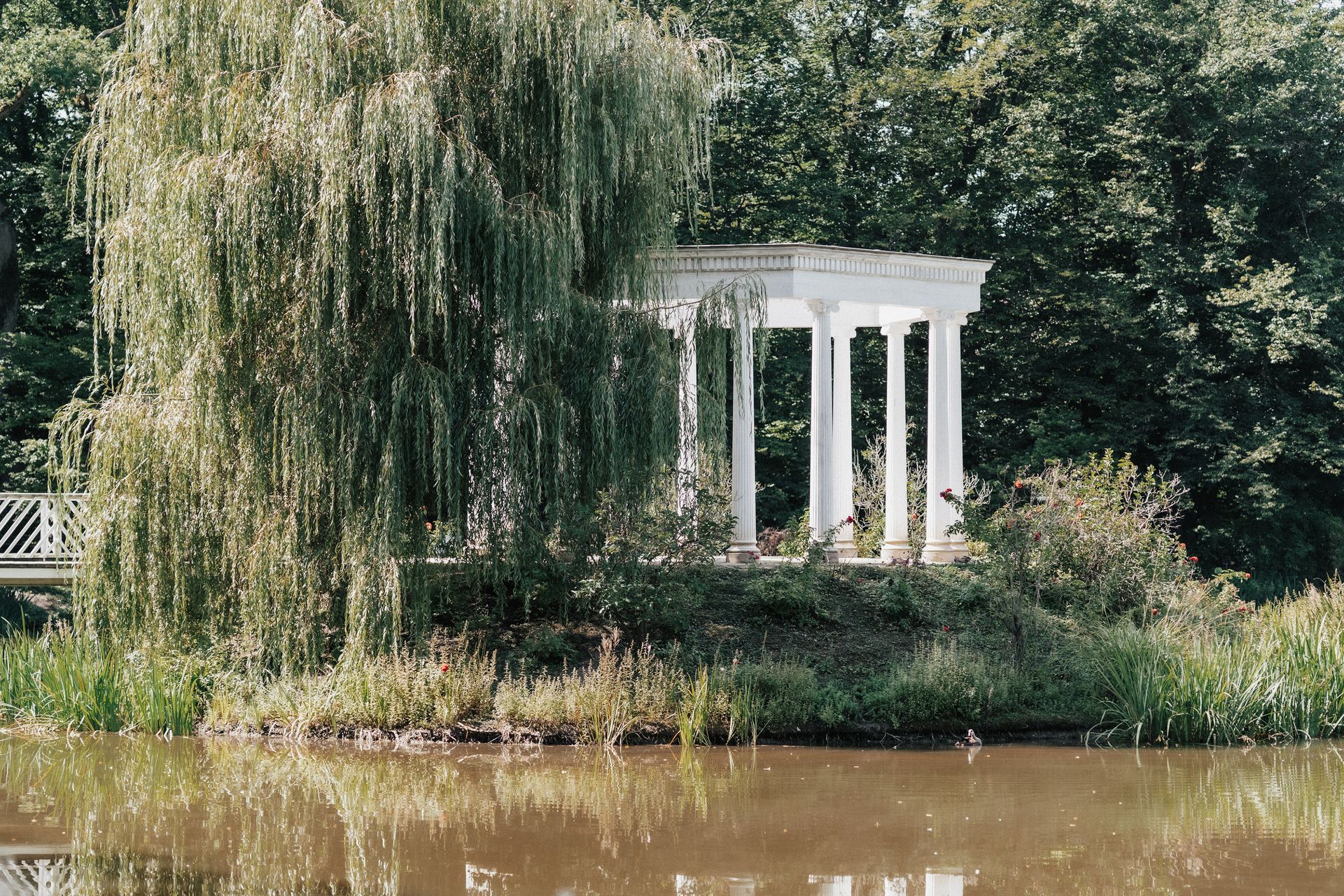 A peaceful garden scene with a classic white gazebo by a calm pond surrounded by lush greenery.