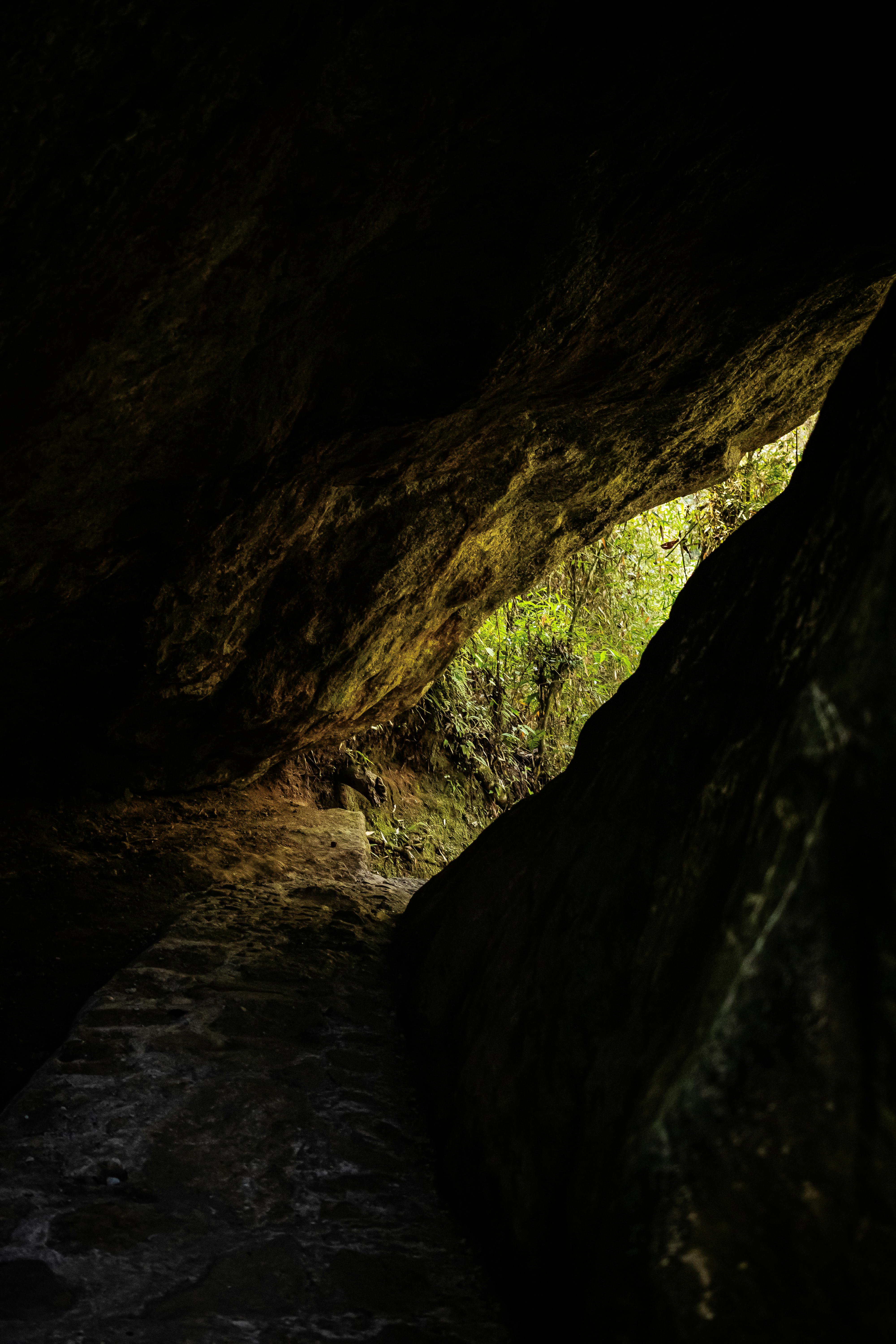 Explore the entrance to a dark cave leading into lush greenery.