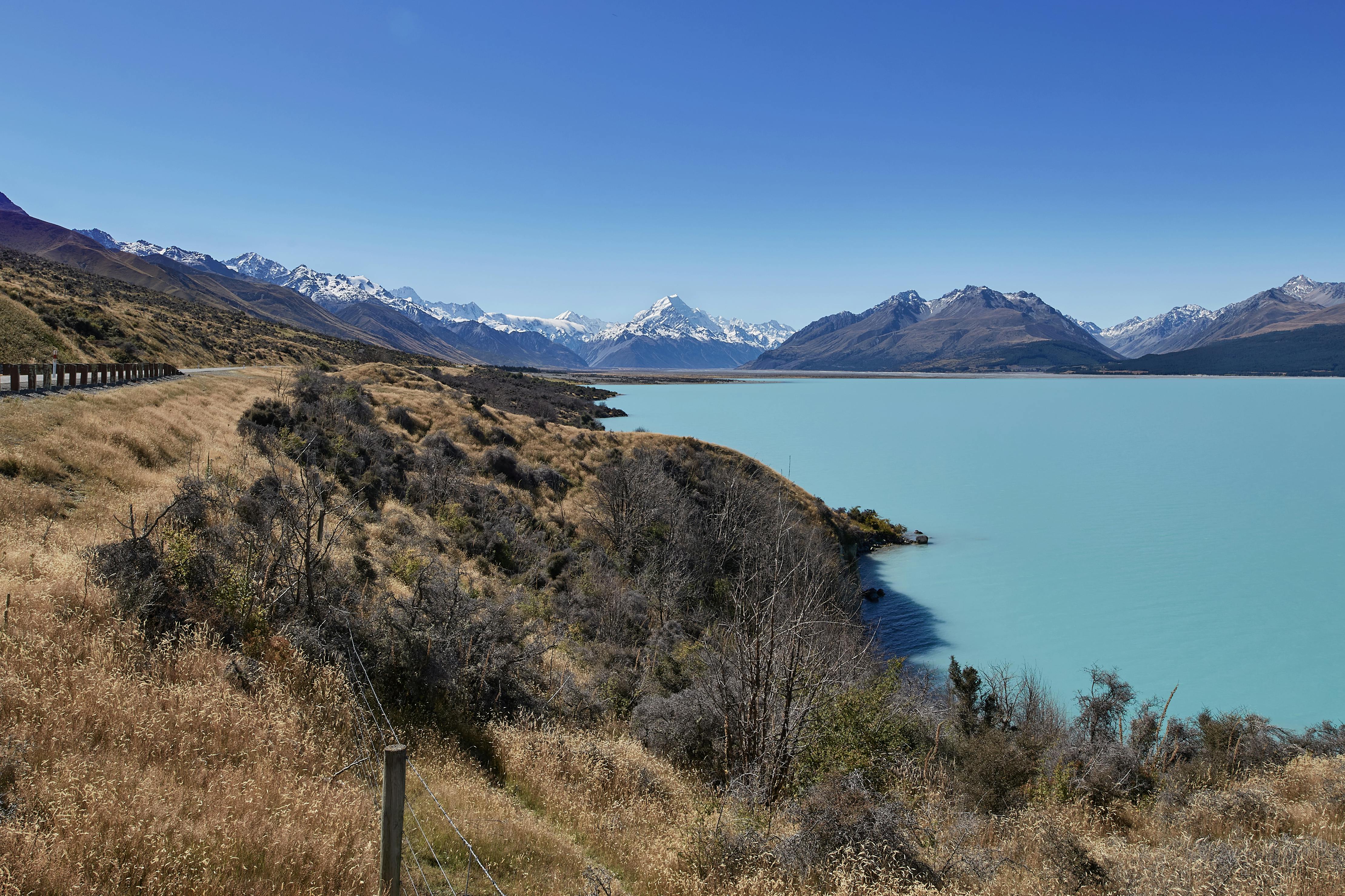 General Travel New Zealand concludes 5-city India roadshow to NZ tourism — Photo by Alexander Heiß on Pexels