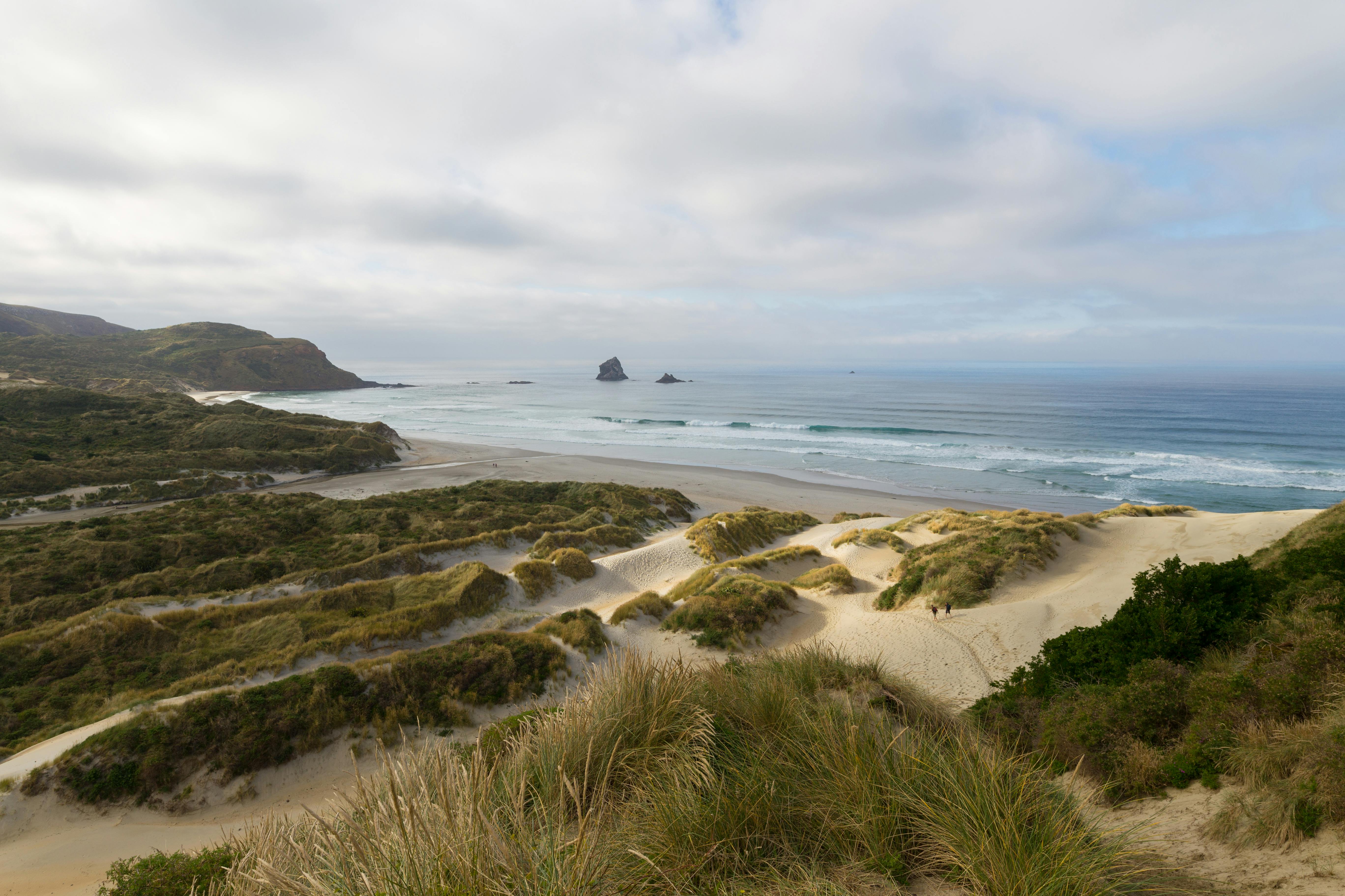 Scenic view of Sandymount Beach with rolling sand dunes and ocean waves in Otago, New Zealand.