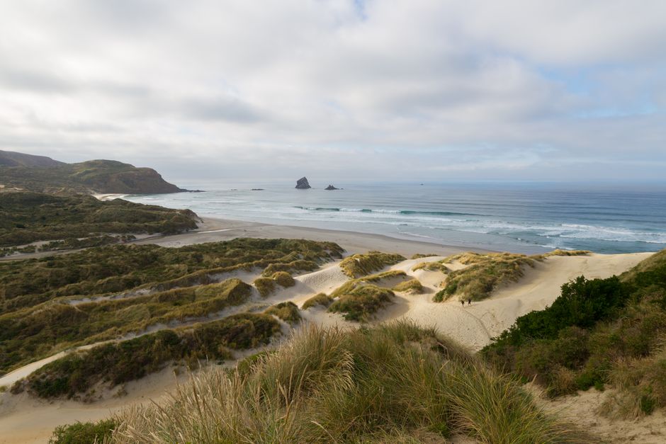 Scenic view of Sandymount Beach with rolling sand dunes and ocean waves in Otago, New Zealand.