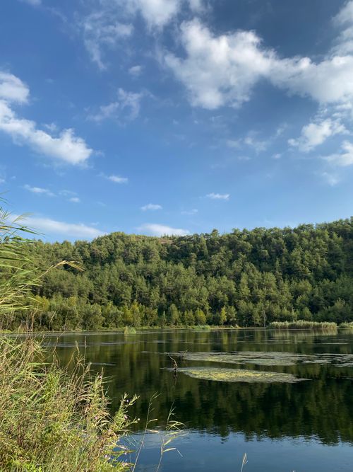 Free Tranquil view of a forest lake with clear skies and lush greenery. Stock Photo