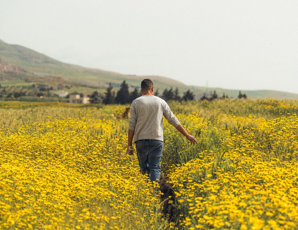Walk In Field Walking in the field surrounded with flowers · Free Stock Photo