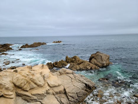 Monterey, United States photo 20