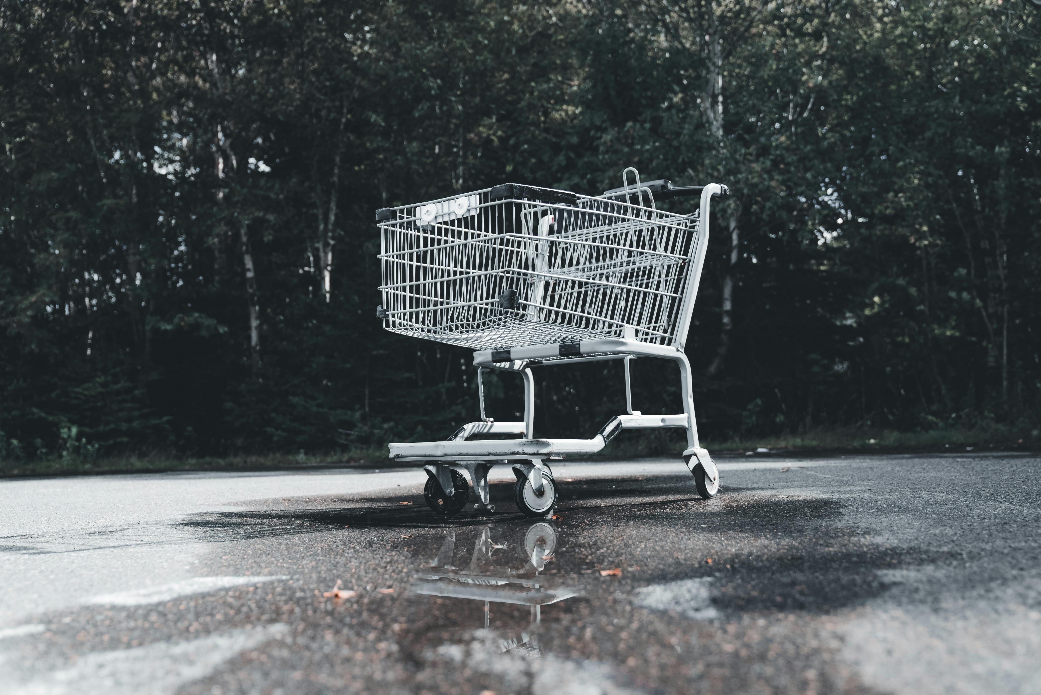 ‘Terrible timing’: Dollar General store manager responds after criticism of skeleton display - — Photo by Erik Mclean on Pexe