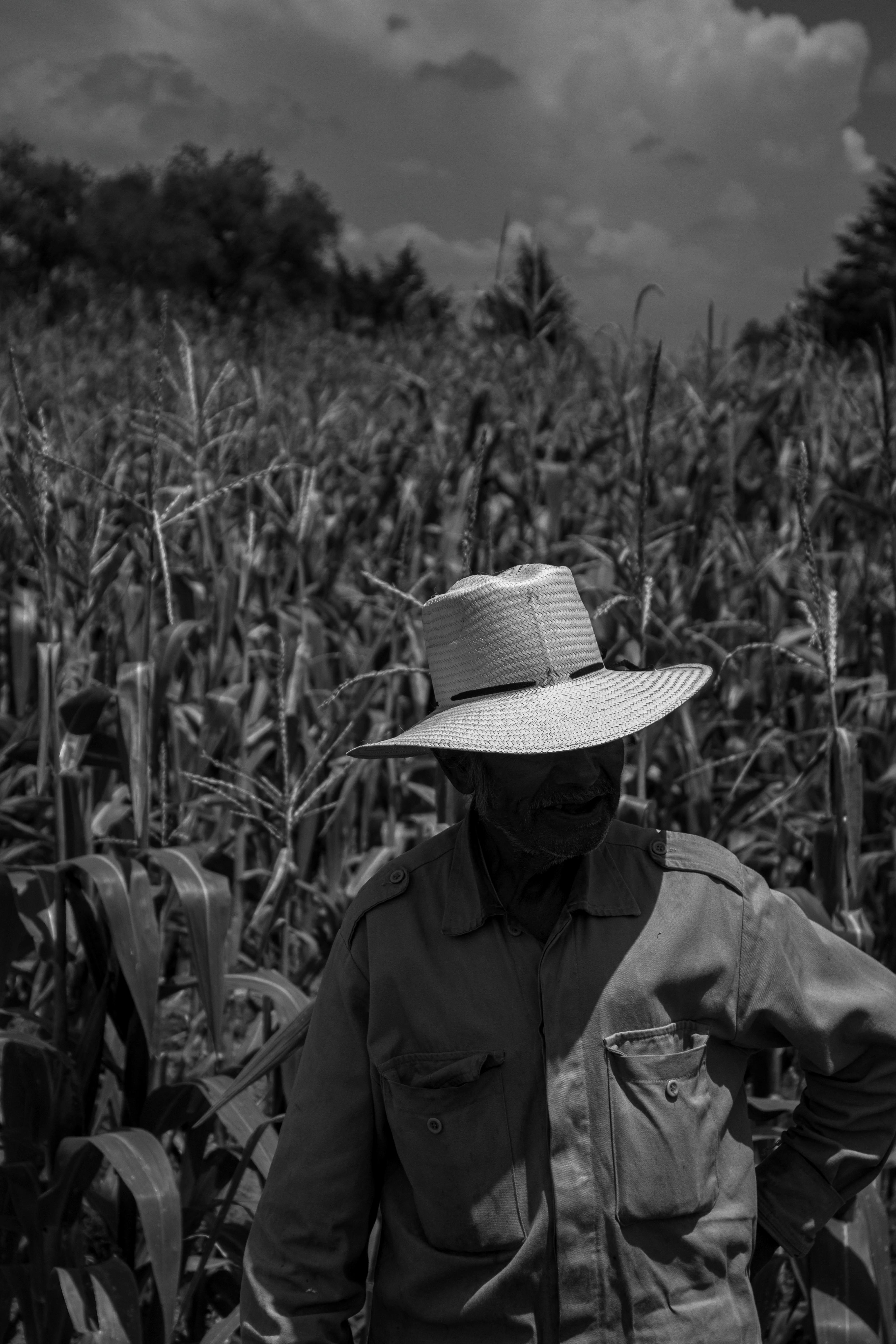 Biofarm background image