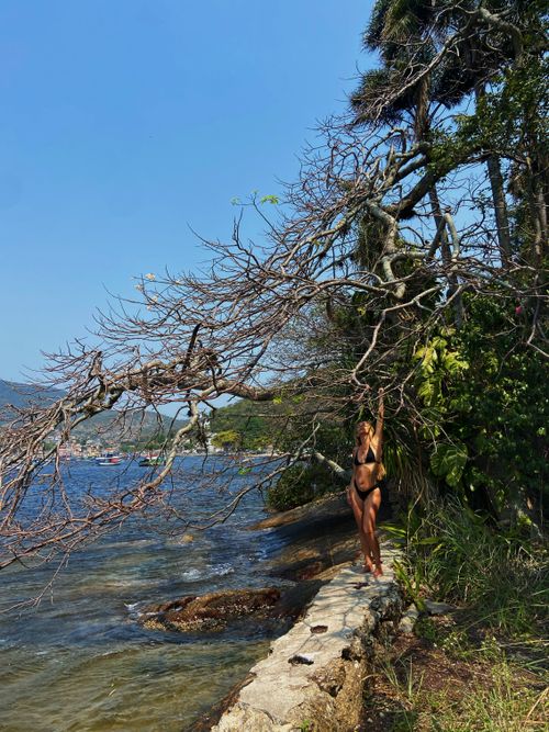 Free The Dora Hees Municipal Natural Park is protected and managed by the Niterói Municipal Department of Environment, Water Resources, and Sustainability. This entity is responsible for conser... Stock Photo