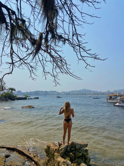 Free The Dora Hees Municipal Natural Park is protected and managed by the Niterói Municipal Department of Environment, Water Resources, and Sustainability. This entity is responsible for conser... Stock Photo