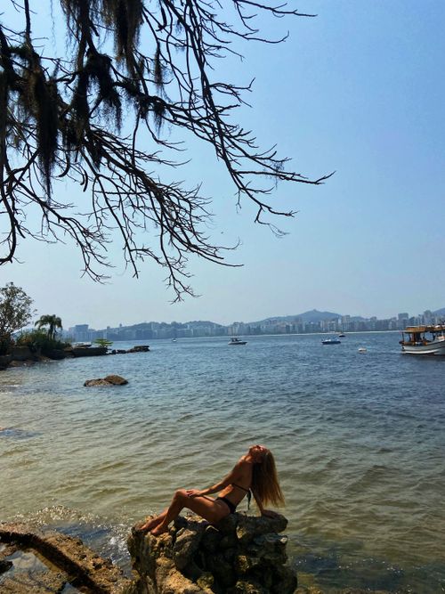 Free The Dora Hees Municipal Natural Park is protected and managed by the Niterói Municipal Department of Environment, Water Resources, and Sustainability. This entity is responsible for conser... Stock Photo