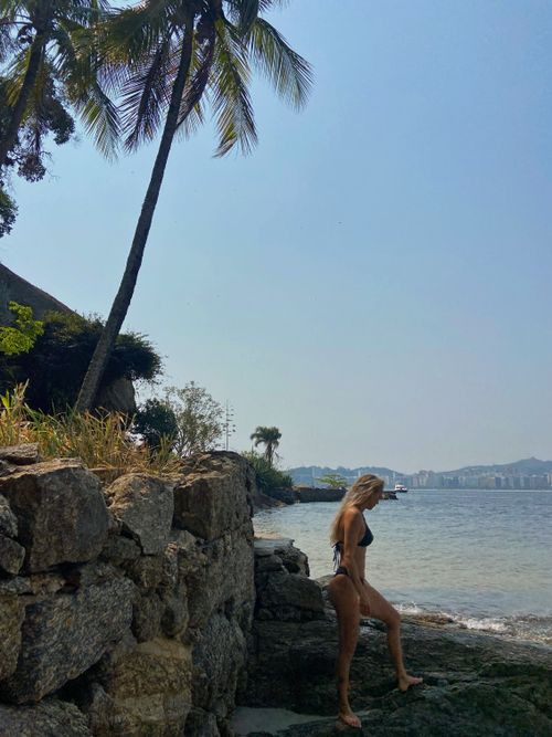 Free The Dora Hees Municipal Natural Park is protected and managed by the Niterói Municipal Department of Environment, Water Resources, and Sustainability. This entity is responsible for conser... Stock Photo