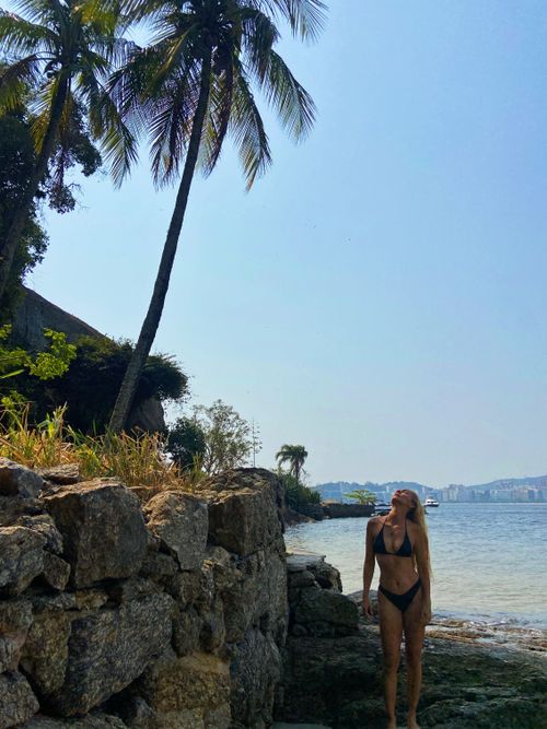 Free The Dora Hees Municipal Natural Park is protected and managed by the Niterói Municipal Department of Environment, Water Resources, and Sustainability. This entity is responsible for conser... Stock Photo
