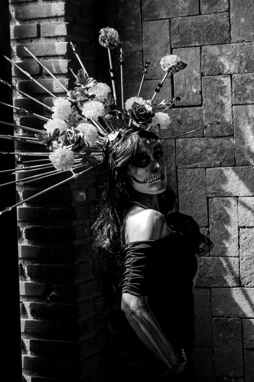 Free Artistic portrait of a woman in Day of the Dead makeup and flower headpiece. Stock Photo