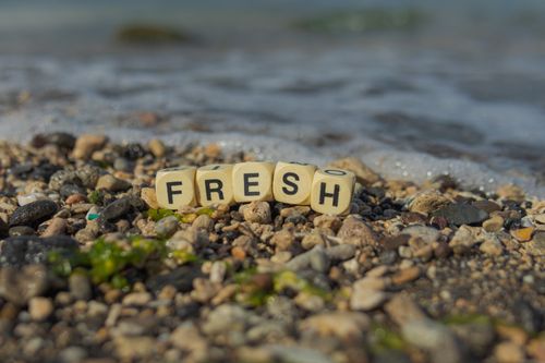 Free 'Fresh' spelled with letter blocks on a pebbly beach by the sea. Stock Photo